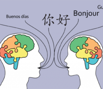 2377.w600.r16-9.d87aa98